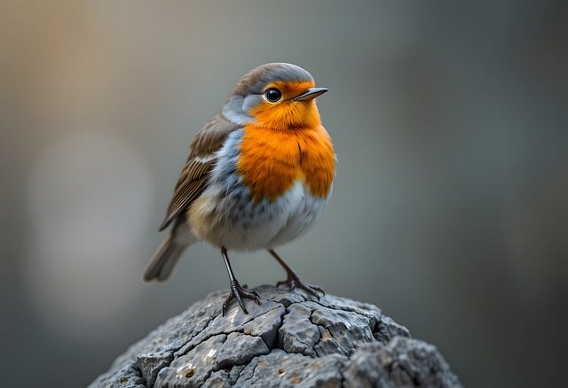 Free ai generated bird animal illustration