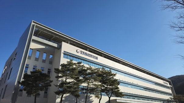 Free Training Institute South Korea photo and picture