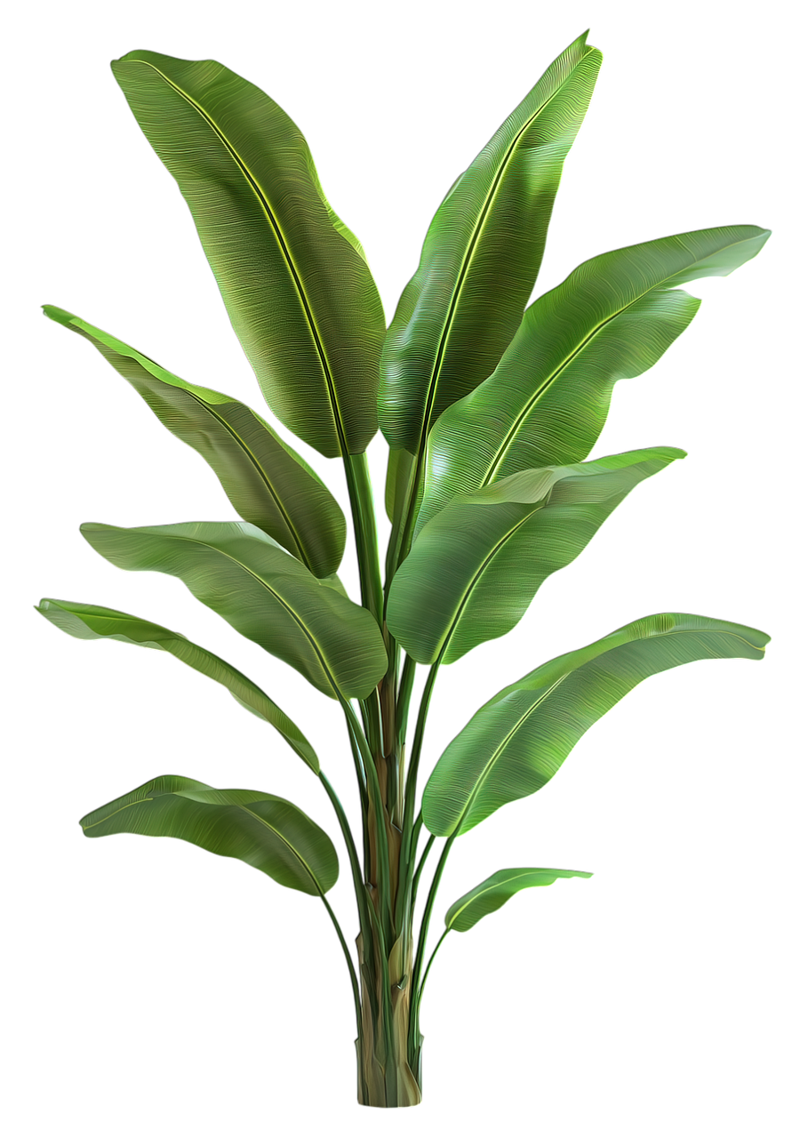 Download Banana Plant, Tropical Leaves, 3D