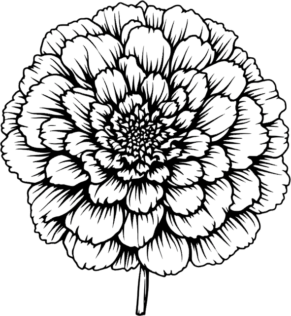 Free ai generated marigold flower vector