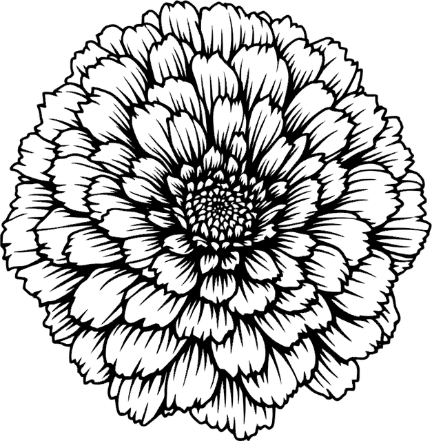 Free ai generated marigold flower vector