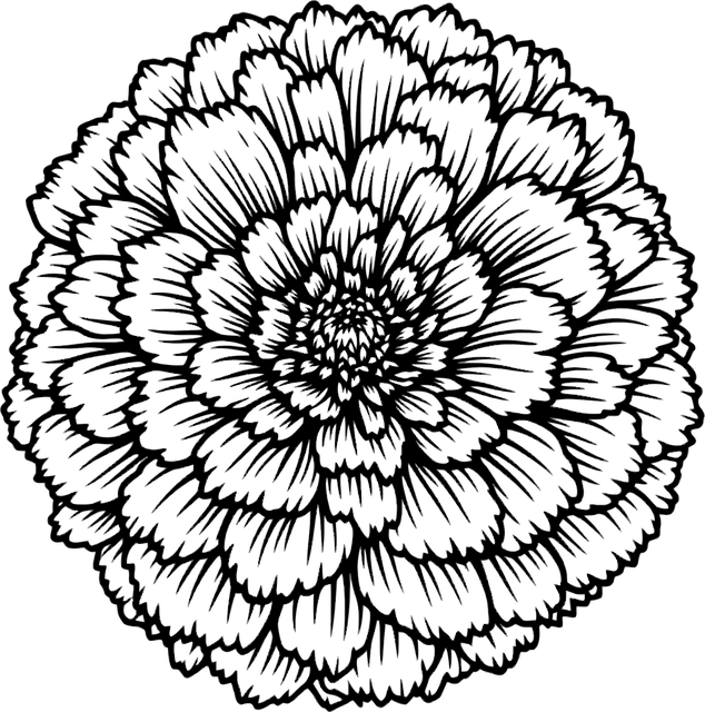 Free ai generated marigold flower vector