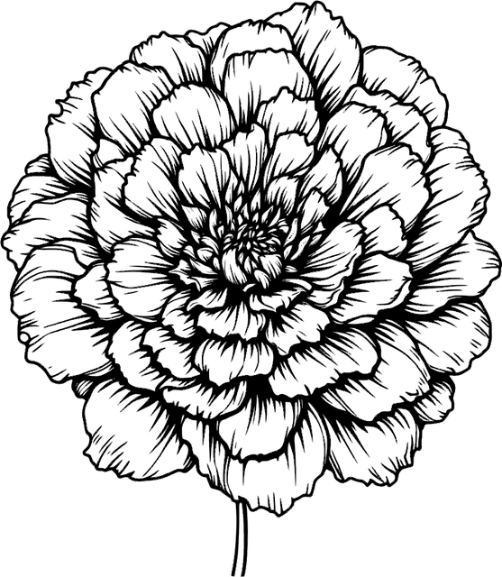 Free ai generated marigold flower vector