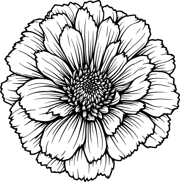 Free ai generated marigold flower vector