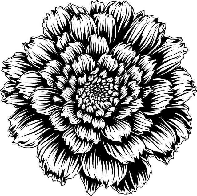 Free ai generated marigold flower vector