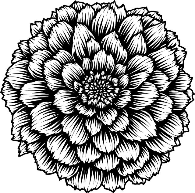 Free ai generated marigold flower vector