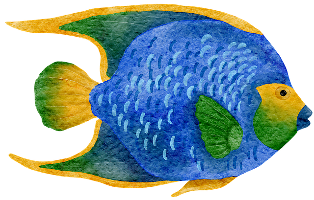 Free Fish Marine illustration and picture