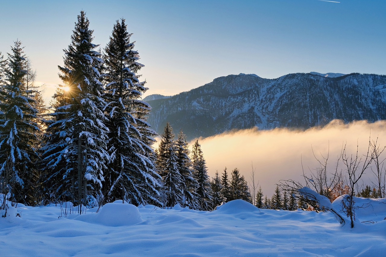 For t Nature Paysage Photo Gratuite Sur Pixabay For t Nature Paysage Photo Gratuite Sur Pixabay