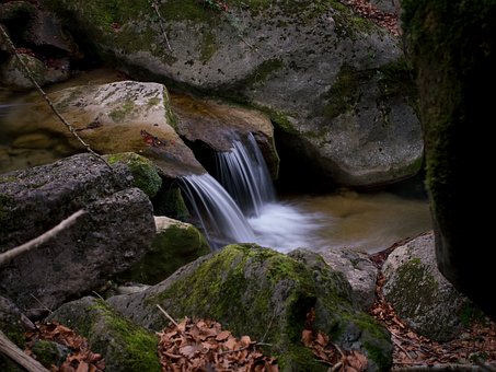 Free Water River photo and picture