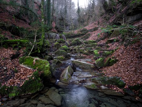 Free Rocks Moss photo and picture