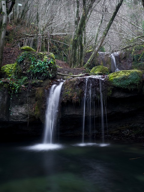 Free Waterfall Water photo and picture