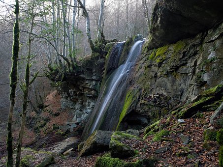 Free Waterfall Forest photo and picture