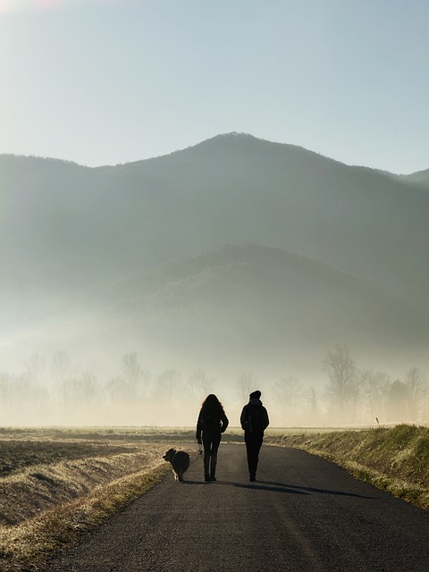 Free Walking Landscape photo and picture