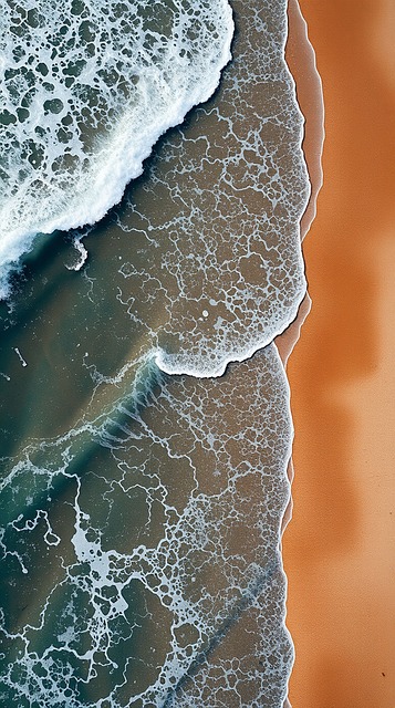 Free beach waves sea illustration