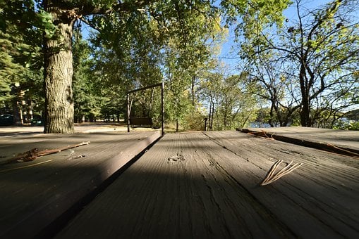 Zomer, Picknick Tijd, Groente, Spelen