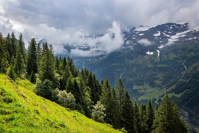 Free Mountain Nature photo and picture