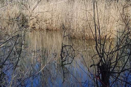 Free France Provence photo and picture