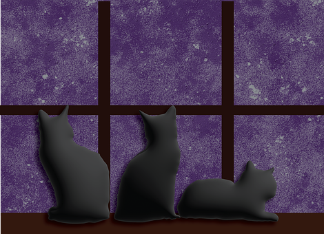 Free Cat Window illustration and picture