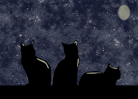 Free Cats Night illustration and picture