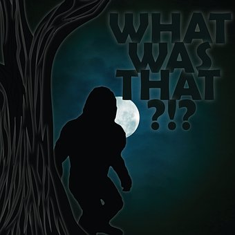 Free Cryptid Bigfoot illustration and picture