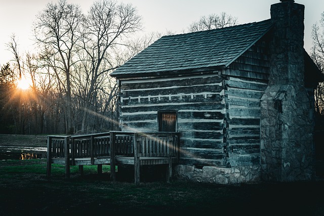 Free Cabin Woods photo and picture