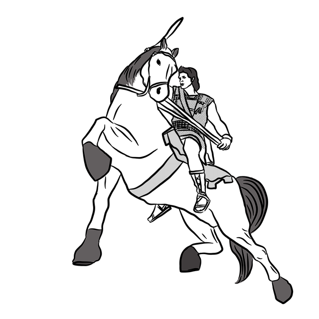 Free warrior horse knight illustration