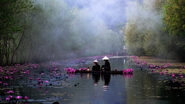 Free River Flowers photo and picture