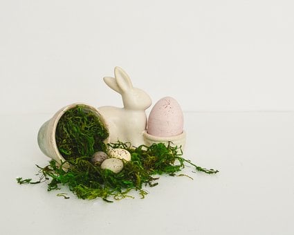 Free Eggs Rabbit photo and picture