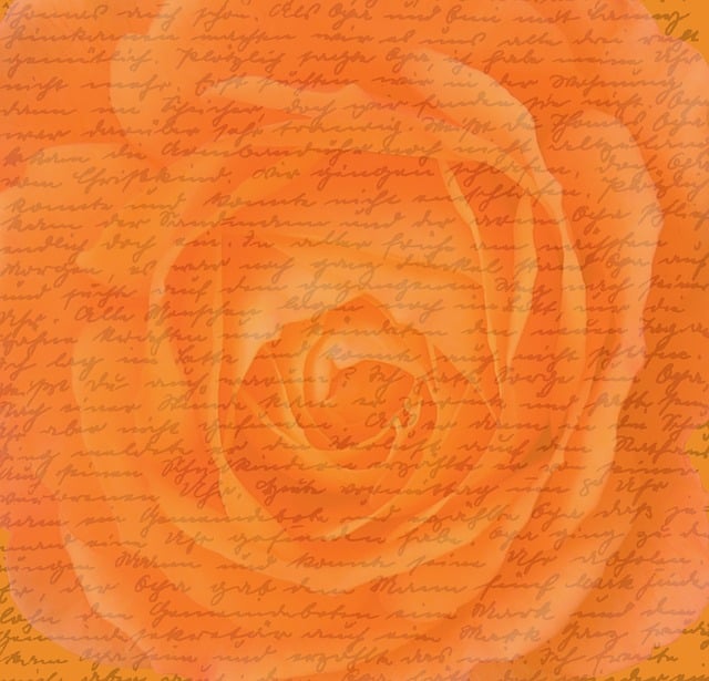 Free rose flower letter illustration