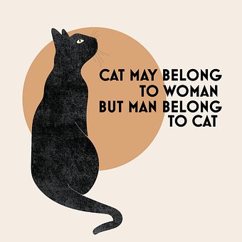 Free Cat Man illustration and picture