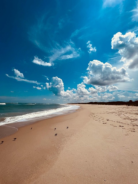 Free Nature Beach photo and picture