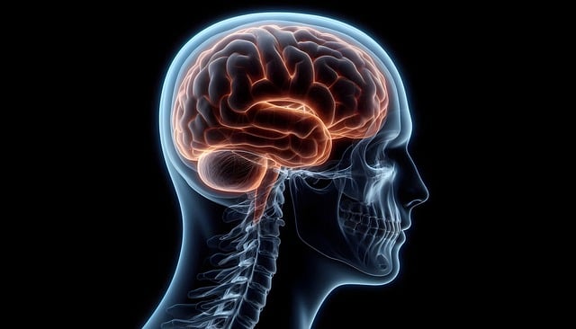 Free brain x-ray man illustration