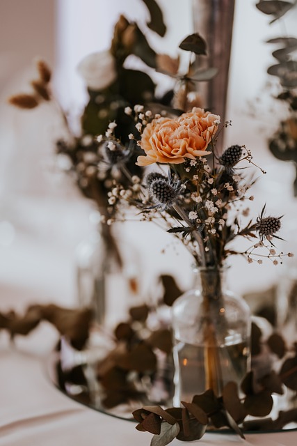 Free Flower Nature photo and picture