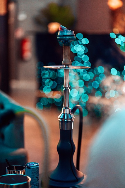 Free Shisha Smoking photo and picture