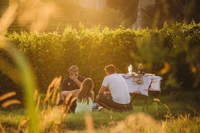 Piquenique, Vinho, Natureza, Primavera