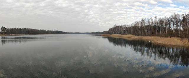 Free Lake Water photo and picture