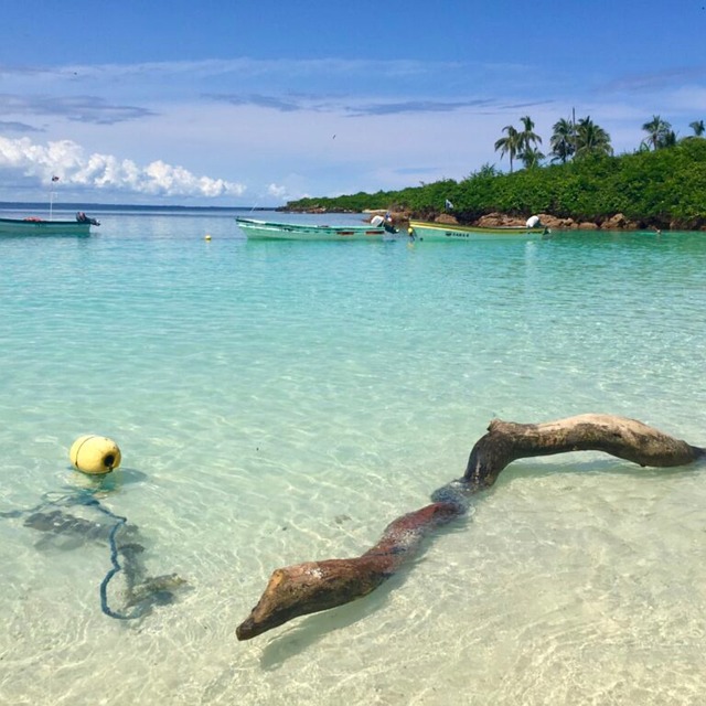 Free Island Beach illustration and picture