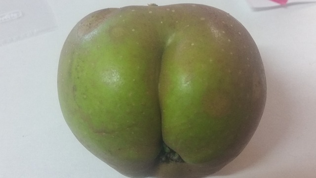 사과, 초록, 포, 상쾌한