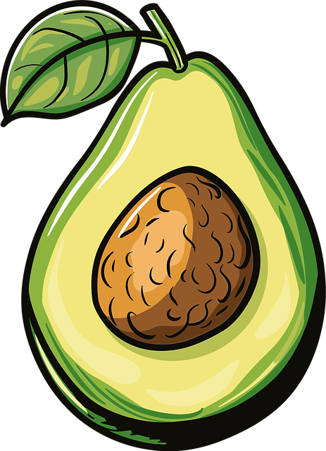 Free organic green avocado vector