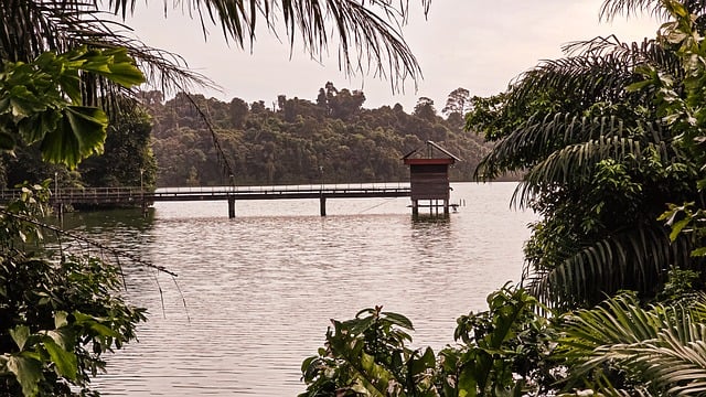 Les, Singapur, Příroda, Singapurská Zoo