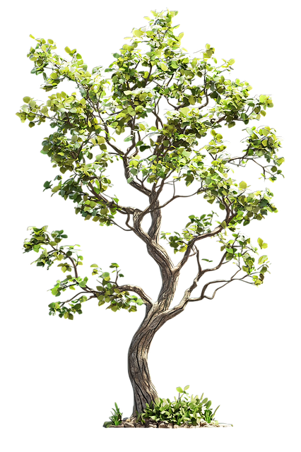 Free ai generated bonsai tree tree illustration