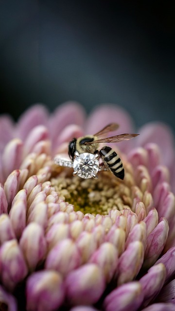 Abeja, Anillo De Diamantes, Anillo, Flor