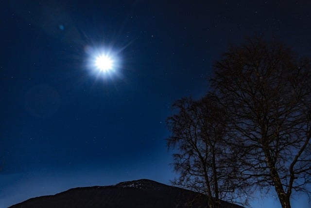 Free Blue Sky photo and picture