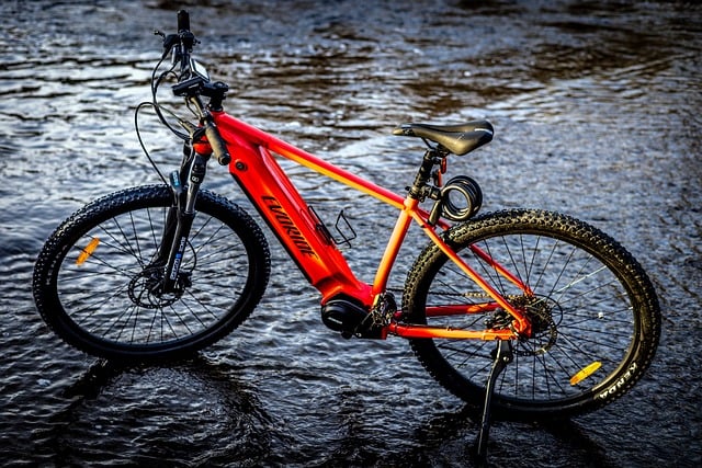 Free Bicycle Bike photo and picture