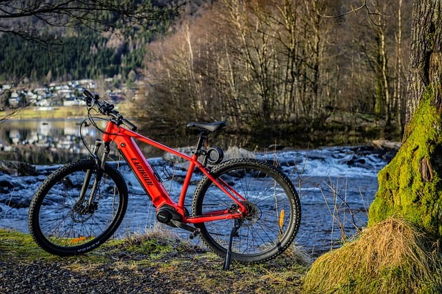 Free Bicycle Bike photo and picture