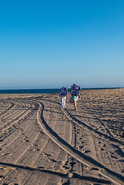 Free Beach Santa Monica photo and picture