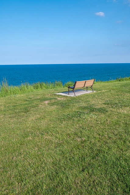 Free Park Bench Overlook photo and picture