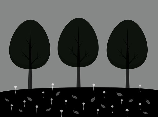天津明日起所有乘客乘公交均须出示健康码