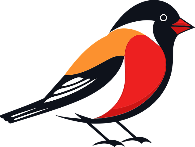 Pássaro, Tentilhão, Natureza, Animal