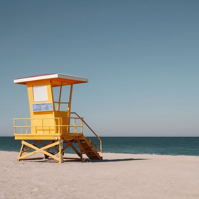 Free Ai Generated Lifeguard illustration and picture